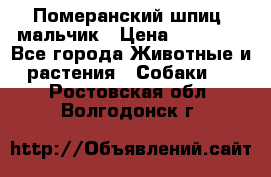 Померанский шпиц, мальчик › Цена ­ 35 000 - Все города Животные и растения » Собаки   . Ростовская обл.,Волгодонск г.